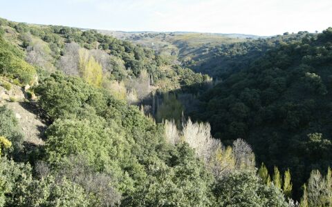 Cabecera del río Nieles