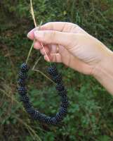 Ristra de moras